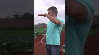 Drone na lavoura #agricultura #agro #drone
