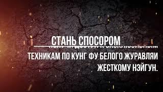 Спонсор канала-доступ к бонусам,жесткому нэйгун и кунг фу Белого Журавля включая работу с оружием.