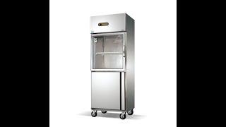 Vegetables, Dairy Products and Frozen Food Storage Upright Freezer for Your Restaurant Kitchen