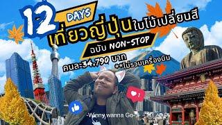 เที่ยวญี่ปุ่นประหยัด 12 Days Japan Non Stop TOKYO NIKKO YOKOHAMA KAMAKURA KAWASAKI l Winny Wanna Go