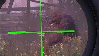  Werewolf in Stalker DayZ PvE ️