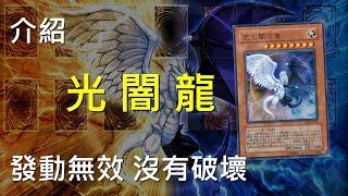[ 遊戲王 ] 光闇龍 Light and Darkness Dragon