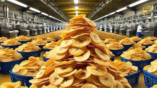 Mass Production of Banana Chips | Banana Chips Factory