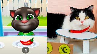 My Talking Tom in real Life VS Talking Tom in the Game