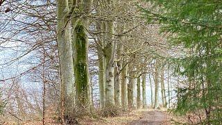 Denmark: On The Coastal Path South of Snaptun                               13. February 2023