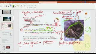 Paleontology Previous year Q&A and Numerical class video-8: BRAHMASTRA (Hinglish)