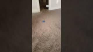 POV: u step on a lego