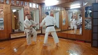 Seisan kata bunkai analysis demonstration for Dan test / Uechi ryu Karate Hozonkai Shibu Ryubin dojo