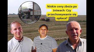 Niskie ceny zboża po żniwach: Czy przechowywanie się opłaca? [REPORTAŻ]