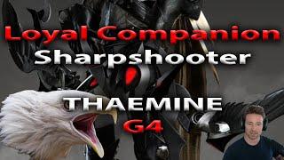 Gate 4 Thaemine - Loyal Companion Sharpshooter