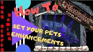 DDO - Pet Enhancement Skills and Training!