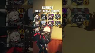 Best Team Comp for Burnice | Zenless Zone Zero