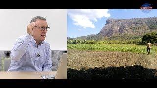 Nascent irrigation dynamics in central Mozambique : markets, land and water use