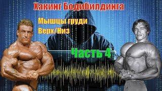 Как накачать грудные мышцы. Лучшие упражнения. Техника. Часть 4. Хакинг Бодибилдинга