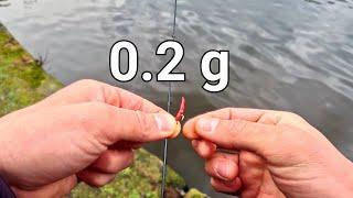 0.2 g Nano Jigging