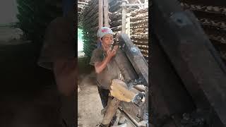 wing tile making process #fypシ゚viral #nature #shortvideo #nest #wildlife #viralvideo