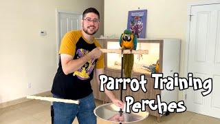 Parrot Training Perch ️