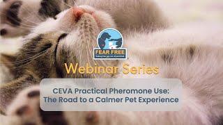 CEVA Practical Pheromone Use: The Road to a Calmer Pet Experience