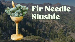 Making a slushie out of wild-foraged tree needles