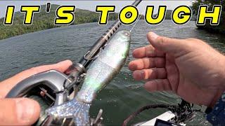 The TRUTH About Bass Fishing The Fall Transition!