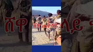 #አማራ ፋኖ#ethiopianewsamhara fano,fano amhara,amhara,fano amhara news,fano,amhara fano news,eas