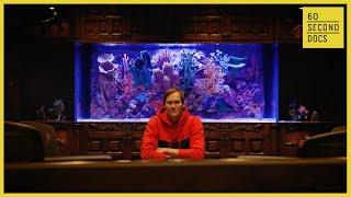 Fancy Fish Tanks for the Famous | Infinity Aquariums