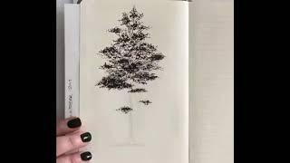 Как нарисовать дерево пером, гелевой ручкой. Шеннон Перри (Tree Drawing in Pen by Shannon Perrie