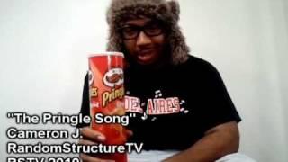 The Pringle Song (Man with the Pringle Can) - Cameron J. | Random Structure TV