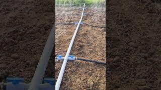 RAIN DRIP Irrigation in agriculture
