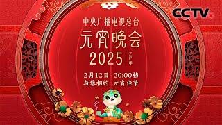 花灯映月圆，万家共此时！2025年中央广播电视总台元宵晚会宣传片发布 | CCTV春晚