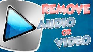 How To Remove Audio Or Video Vegas Pro