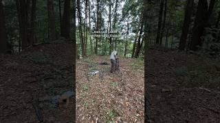 I’ve always dreamed of taking a deer off my own property, until recently that wasn’t a possibility.