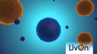 LivOn Labs Lypo-Spheric Delivery System Spot
