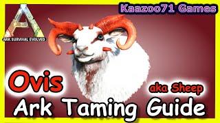 How to Tame an Ovis (Sheep) In Ark  Ark Survival Evolved