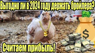 Выгодно ли в 2024 году держать бройлера?