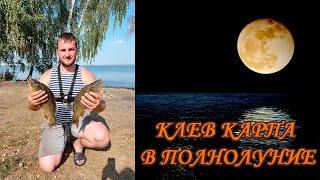 КАРП В ПОЛНОЛУНИЕ. Оз. КАЛДЫ. Челябинская обл.