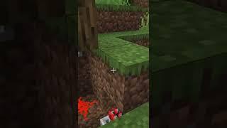 Wait for it...  (World's Smallest Violin)