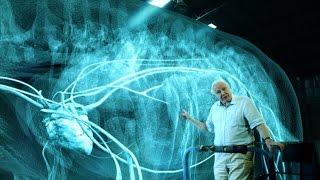 The heart of a titanosaur - Attenborough and the Giant Dinosaur: Preview - BBC