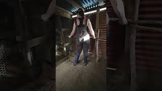 Chicken Coop Upgrades (2/4)