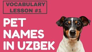 #learnuzbekWithMJ UZBEK VOCABULARY LESSON #1 || PET NAMES IN UZBEK, BEGINNER VOCABULARY Part 1