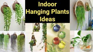 Indoor Hanging Plants Unique Ideas || Pooja's Garden