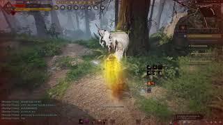 #shorts - BDO Berserker PvP