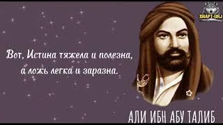 ОЧЕНЬ СИЛЬНЫЕ СЛОВА ИМАМ АЛИ ИБН АБУ ТАЛИБА.ЦИТАТЫ