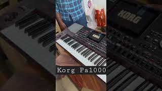 Korg PA1000