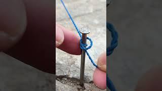 This Knot Changed Everything!
