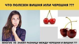 Что полезен вишня или черешня? Многие не догадываются что полезен или нет?!