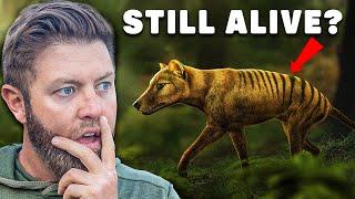 Why I Believe The Tasmanian Tiger Is Still Alive...