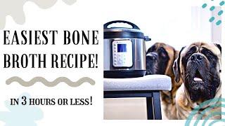 How to Make Instant Pot Bone Broth for Dogs in 3 Hours or Less! | EASY & FAST!!