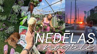 Nedēļas nogales vlogs: puķu šopings ️, ar suņiem Vecrīgā & Grīziņkalna tirdziņš