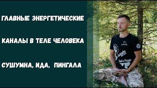 Главные энергетические каналы в теле человека, согласно йоге: Сушумна, Ида, Пингала.